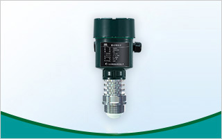 80G雷達(dá)物位計(jì)PWRD81